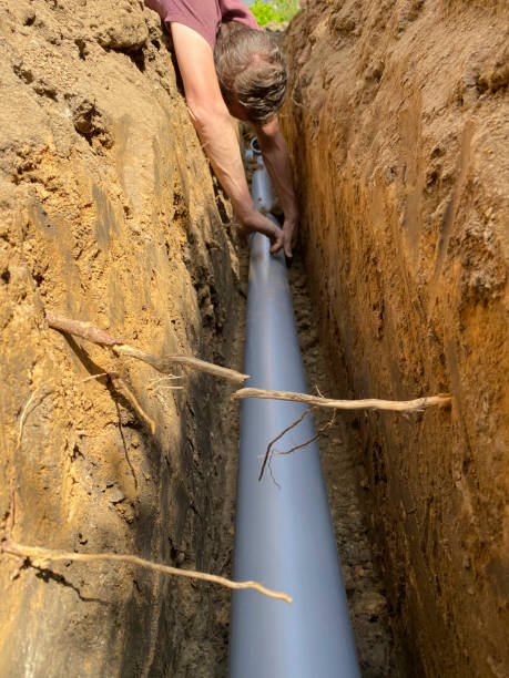 Best Flood restoration services  in Wray, CO