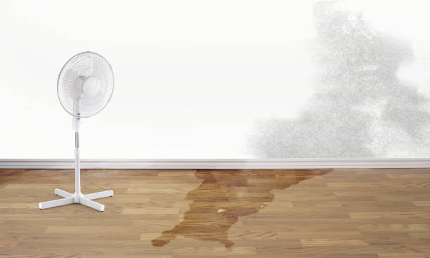 Best Water damage restoration near me  in Wray, CO
