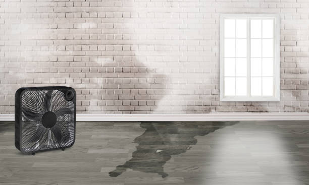 24/7 water damage repair in CO
