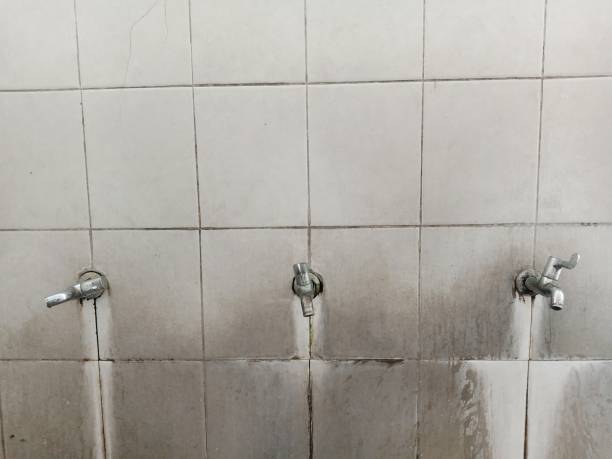 Best Water damage restoration near me  in Wray, CO
