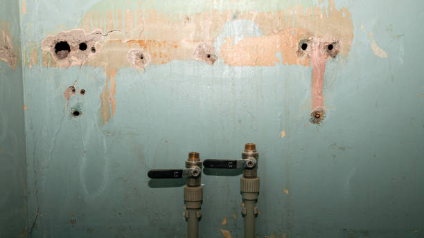 Wray, CO Water damage restoration Pros