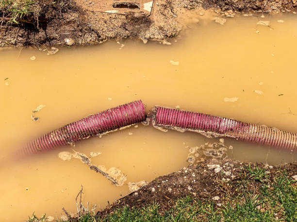 Best Sewage cleanup and water damage restoration  in Wray, CO