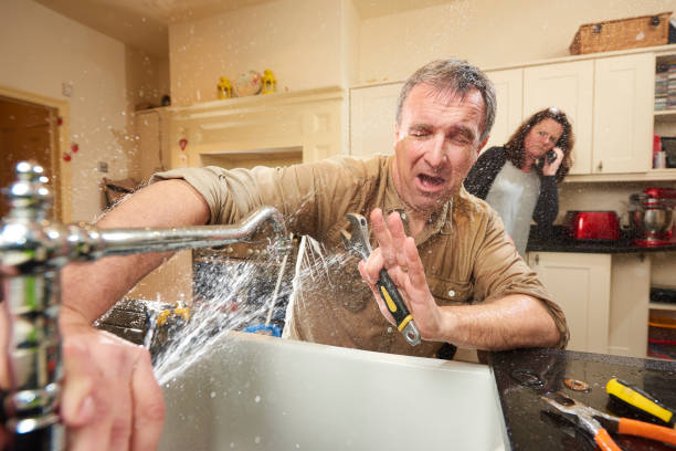 Best Water damage restoration specialists  in Wray, CO